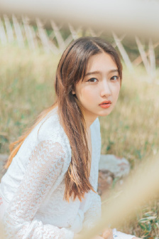 上阵父子兵电视剧